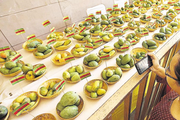 mango-content (1)