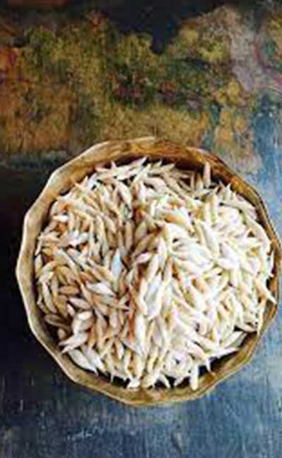 ChosirPayesh1