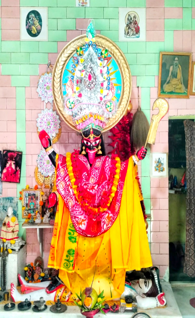 dom-kali
