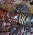 Be it winter or summer fish market is filled with different kinds of fish