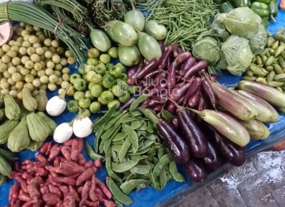 Winter’s Vegetable market